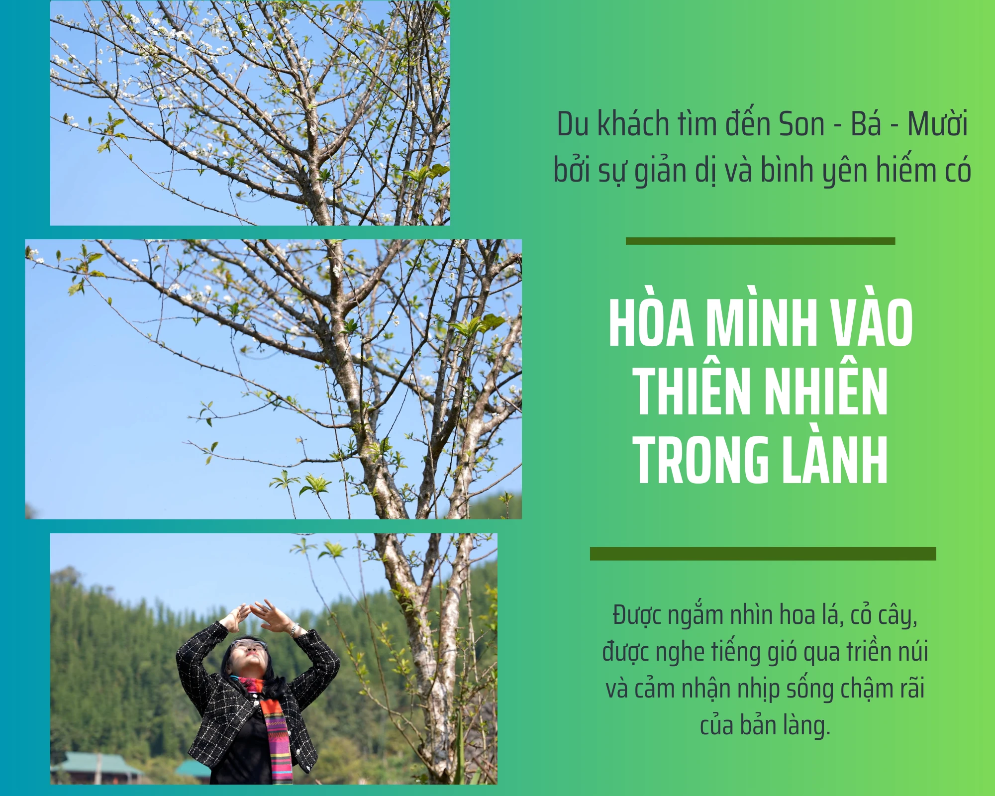 [E-Magazine] Sắc màu mới trên Son - Bá - Mười