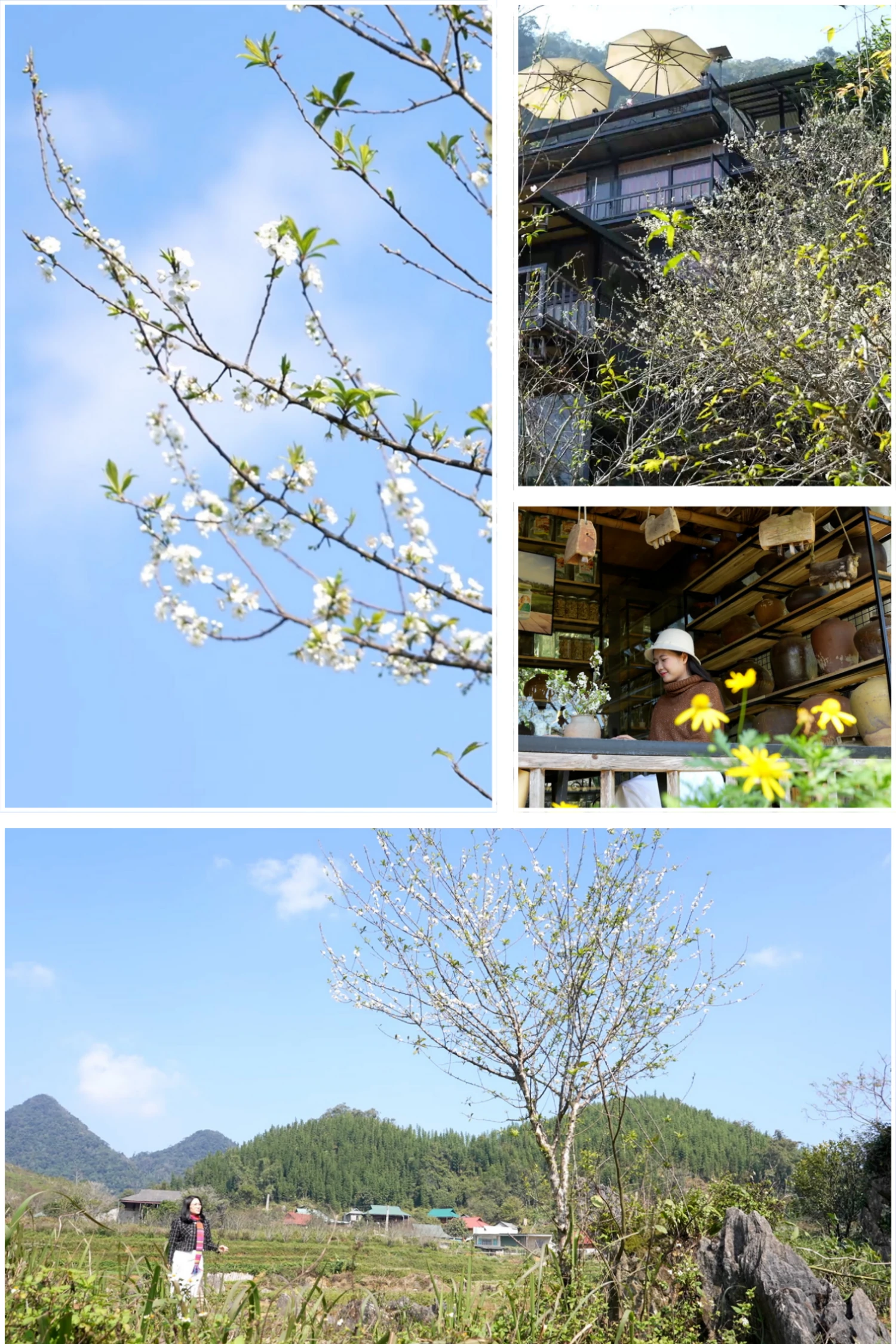 [E-Magazine] Sắc màu mới trên Son - Bá - Mười