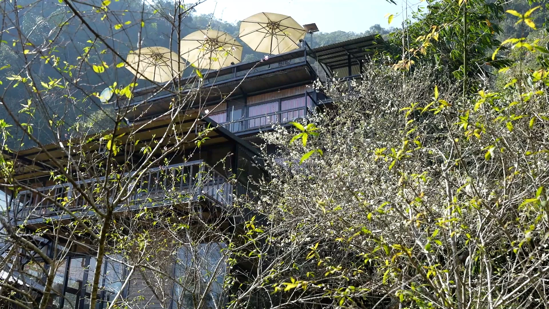 [E-Magazine] Sắc màu mới trên Son - Bá - Mười