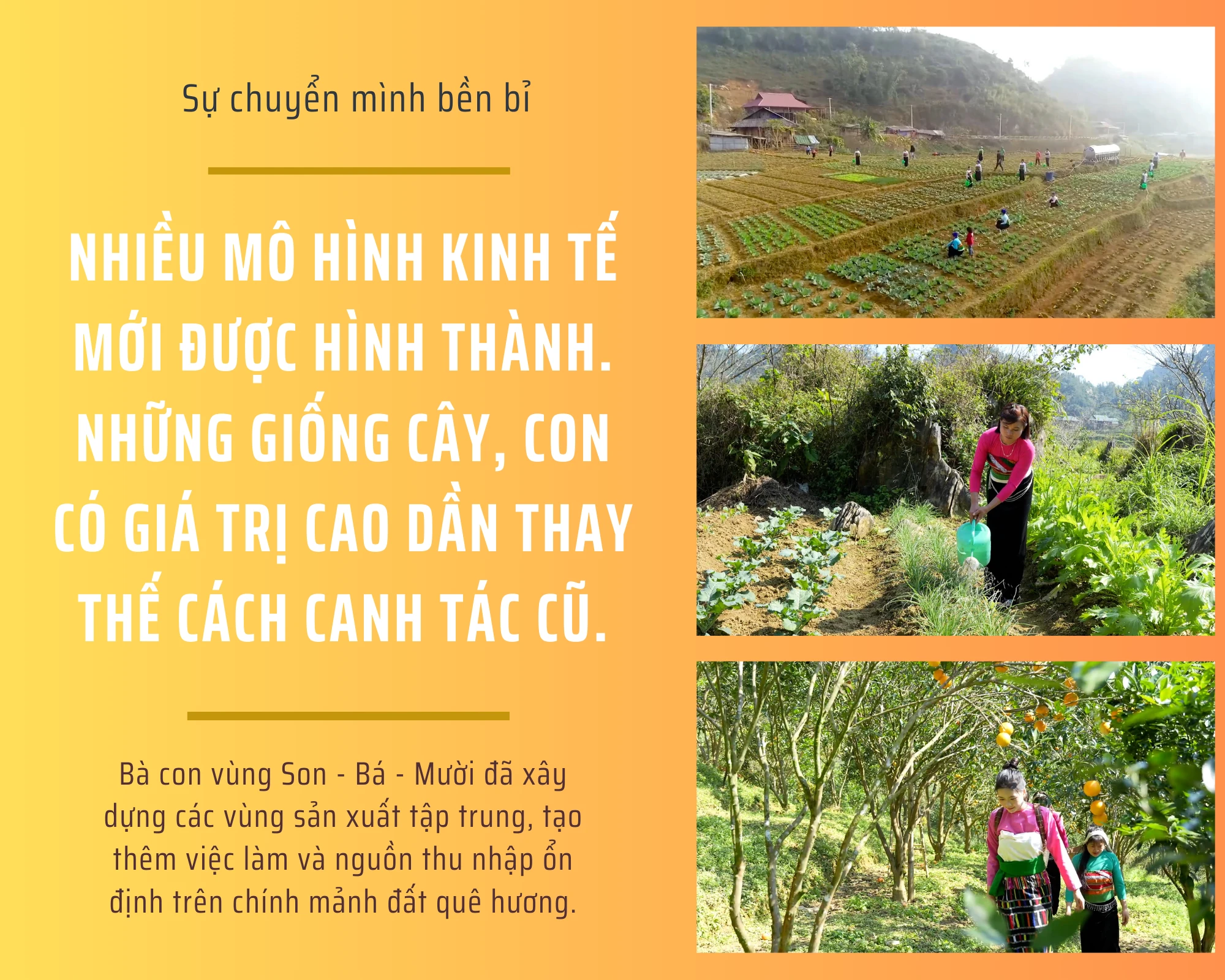 [E-Magazine] Sắc màu mới trên Son - Bá - Mười